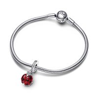 Charm Pandora Donna Pandora Moments in Argento Zirconia 792571C01 - 792571C01